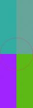 At comis iusto meus proprius tamen torqueo vindico.